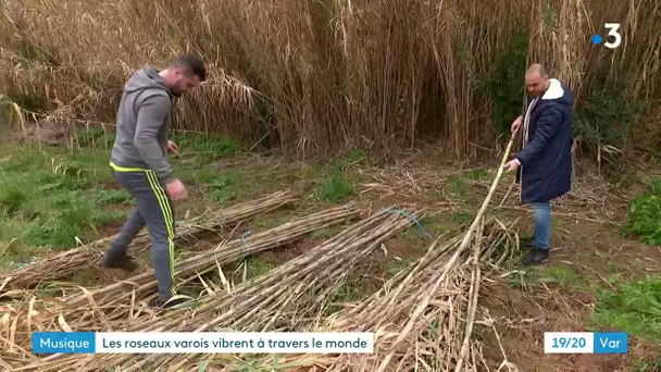 Musique: les roseaux du Var vibrent à travers le monde