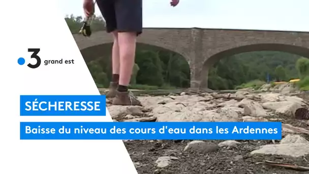 Sécheresse : baisse du niveau des cours d'eau dans les Ardennes