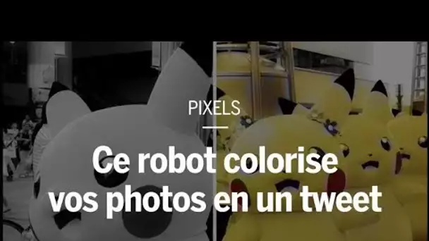 Ce robot colorise vos photos en un tweet
