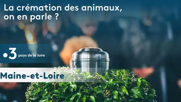 crémation d'animaux, leur fin de vie existe aussi.