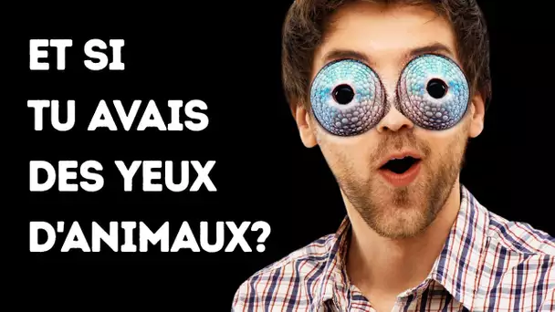 Et si tu avais des yeux d'animal (tu pourrais regarder dans ton oreille !)