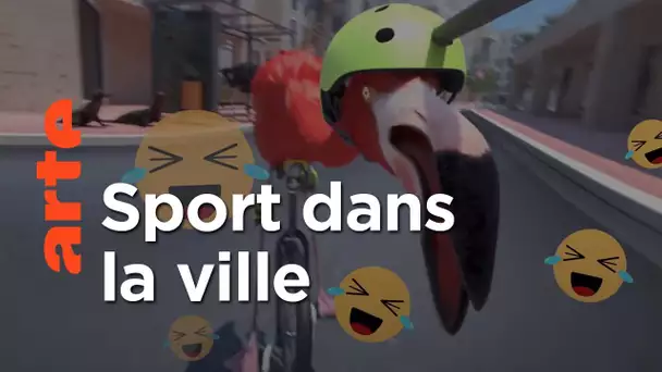 Quand les animaux s’essayent aux sports urbains 🐘 | Athleticus Saison 3 | ARTE