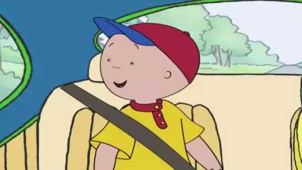 Caillou FRANÇAIS - Envolez-vous, petits oiseaux! (S04E15) |  dessin animé complet