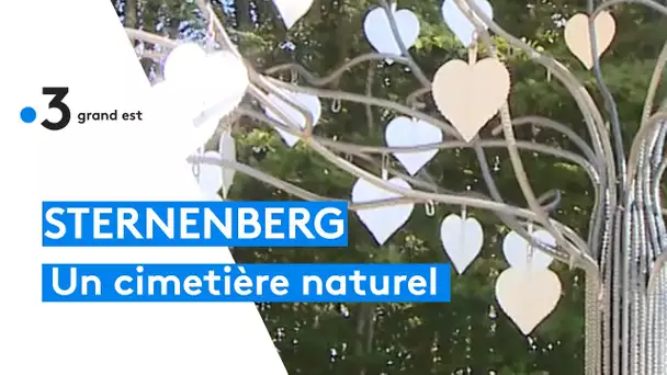 Le nouveau cimetière naturel de Sternenberg, près de Mulhouse