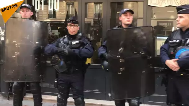 Manifestation contre la chasse: de nombreuses personnes sont descendues dans les rues parisiennes