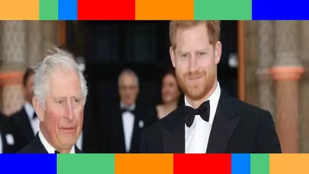 Le prince Charles : avec Harry, quel constat d'échec