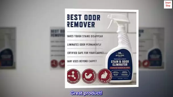 Rocco & Roxie Stain & Odor Eliminator for Strong Odor - Enzyme-Powered Pet Odor Eliminator for Home