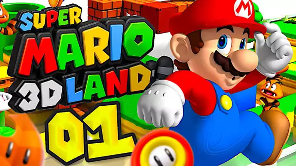 ON PART A L'AVENTURE AVEC MARIO ! SUPER MARIO 3D LAND NINTENDO EPISODE 1