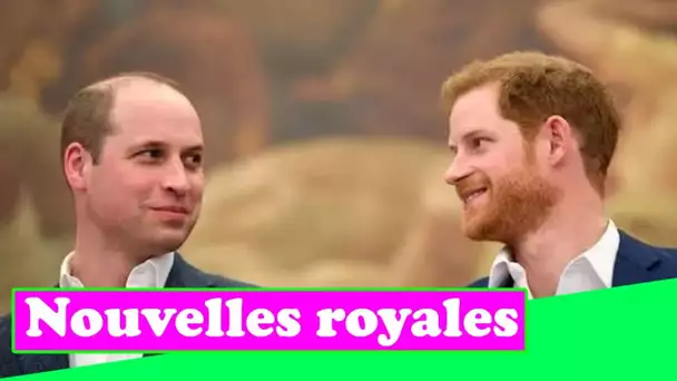 William désireux de réparer sa relation avec Harry mais la rupture de Kate et Meghan `` n'aide pas '