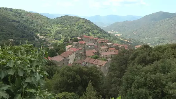 "Per Sti Lochi" à Santa Lucia di Tallà. - 12/08/2022