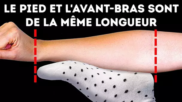 20+ Faits bizarres sur le corps qui te donneront l'impression d'être un super-héros