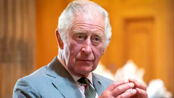 Cancer du roi Charles III : «C'est un choc pour les Britanniques», assure Stéphane Bern