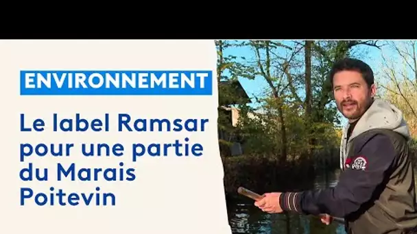 Marais poitevin : Label Ramsar, avancée ou poudre aux yeux ?