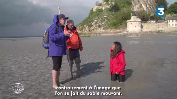 Le Monde de Jamy - Mer, nature, montagne : ils veillent sur nos vacances - Les sables mouvants