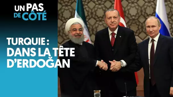 TURQUIE : DANS LA TÊTE D&#039;ERDOGAN
