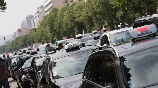 Marseille : «Laissez nous vivre de notre activité», les taxis en colère mènent des opérations esc…