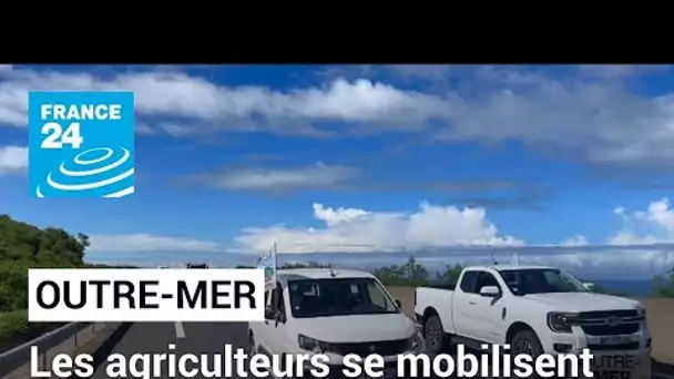 Les agriculteurs se mobilisent aux Antilles et à la Réunion • FRANCE 24
