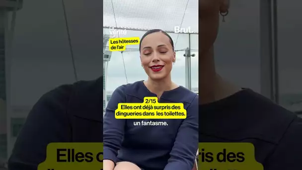 La vérité sur les hôtesses de l'air (2/15)