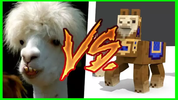 MINECRAFT VS LA VRAIE VIE 6