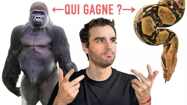 Les animaux les plus forts du monde !