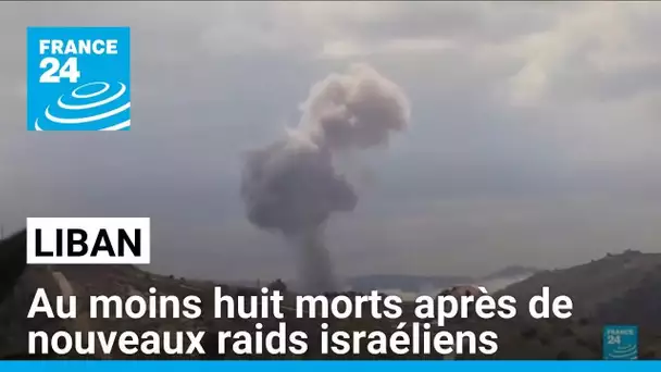 Liban : au moins huit morts après de nouveaux raids israéliens • FRANCE 24