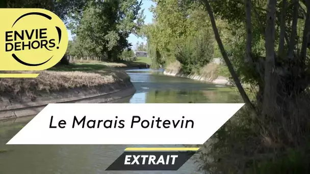 [extrait] Envie dehors. Maillé, entre marais mouillé et desséché