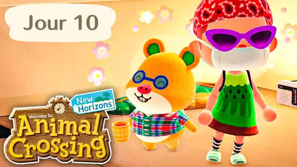 Jour 10 | Le Premier Campeur : Graham ! | Animal Crossing : New Horizons