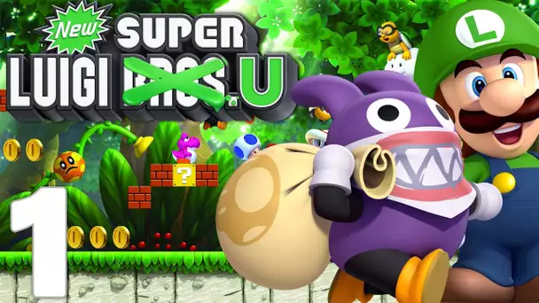 New Super Luigi U EPISODE 1 FR Wii U | CAROTTIN INVINCIBLE ?!?!