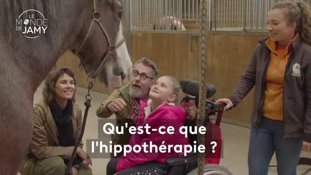 Le meilleur du monde de Jamy – Qu’est-ce que l’hippothérapie ?