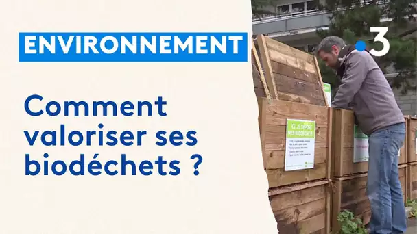 Environnement : comment valoriser ses biodéchets ?