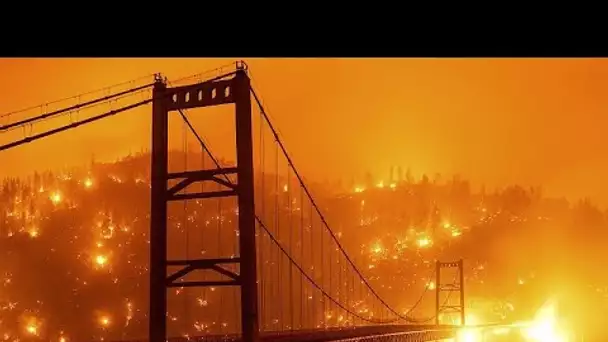 Incendies : toute la côte ouest des Etats-Unis en proie aux flammes