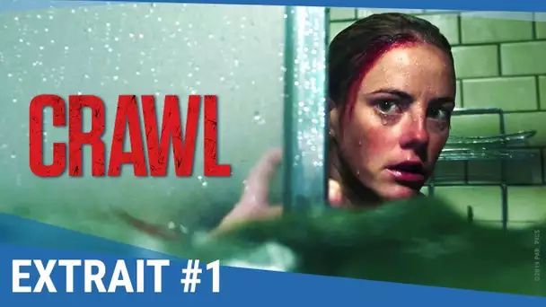 CRAWL - Premier extrait terrifiant avec Kaya Scodelario [Actuellement au cinéma]