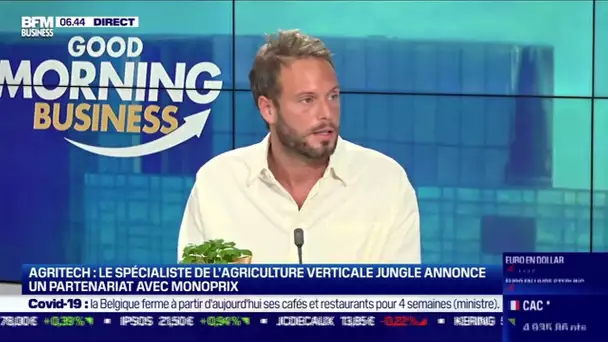 Gilles Dreyfus (Jungle) : La plus grande ferme verticale de France par Jungle