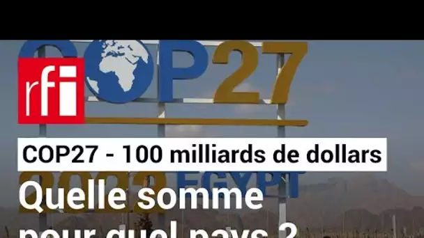 COP27 : comment ces fonds vont-ils être utilisés et répartis entre les pays du Sud ?  RFI