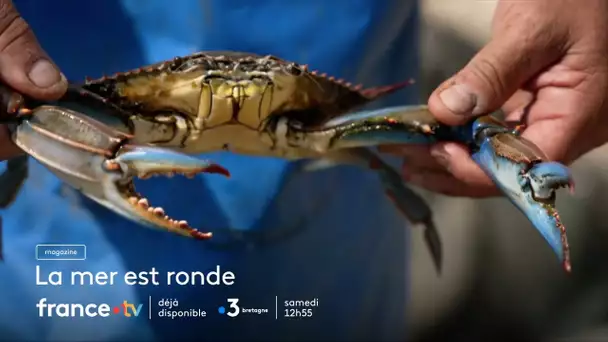 La mer est ronde - Les invasions marines