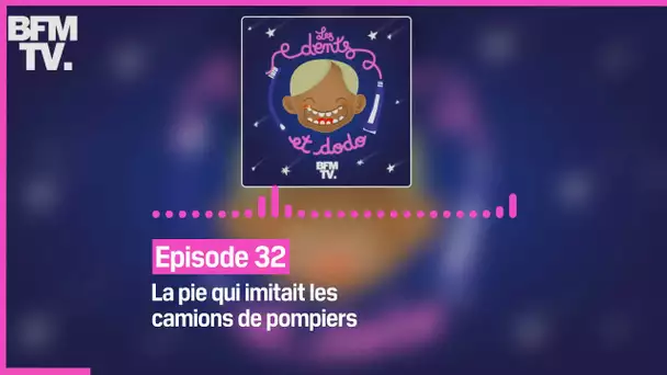 Episode 32 : La pie qui imitait les camions de pompiers - Les dents et dodo