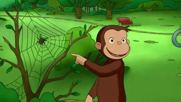 La Toile De Singe 🐵 Georges le Petit Singe 🐵 Saison 2  🐵Dessin Animé 🐵Animation Pour Enfants