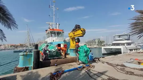 Pose de filets en mer pour recréer des dunes de sable sous-marines et lutter contre l'érosion