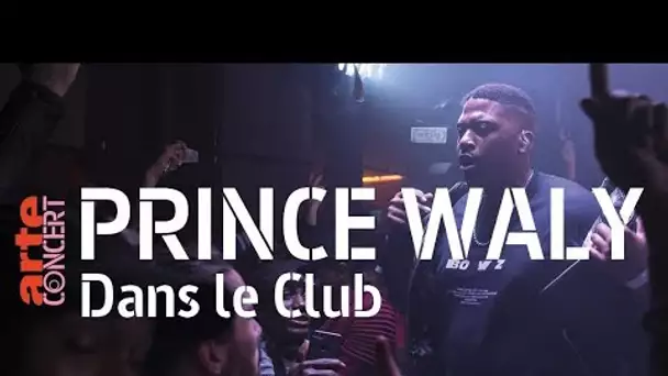 Prince Waly @ Dans le Club (Full Show HiRes) - ARTE Concert