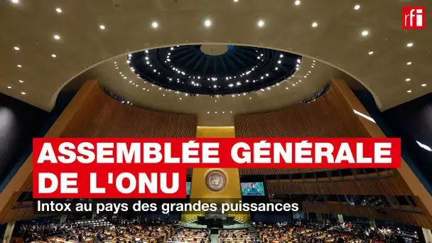 Assemblée générale de l'ONU : intox au pays des grandes puissances