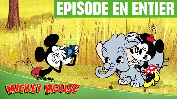 Mickey Mouse - Le fabuleux safari