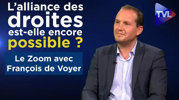 L’alliance des droites est-elle encore possible ? - Le Zoom - François de Voyer