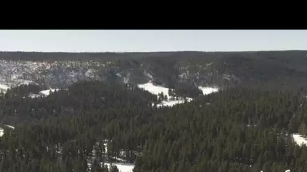 Etats Unis, Wyoming : rivière, forêt, brume dans le parc de Yellowstone