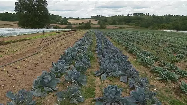 La ferme collective Bio de la Tournerie : un modèle innovant