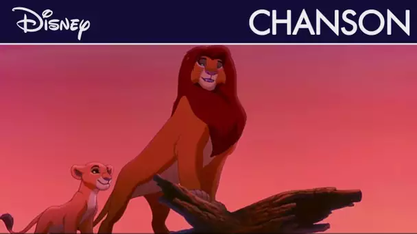 Le Roi Lion 2 - Nous sommes un I Disney