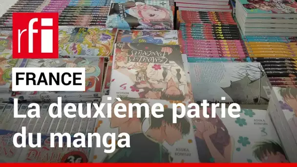 La France, deuxième patrie du manga • RFI