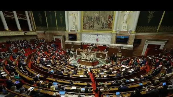 Homophobie : l’Assemblée unanime contre les pseudo «thérapies de conversion»