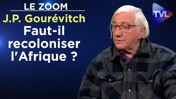 Faut-il recoloniser l'Afrique ? - Le Zoom - Jean-Paul Gourévitch - TVL