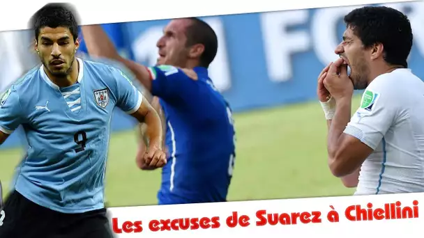 Les excuses de Luis Suarez à Giorgio Chiellini !