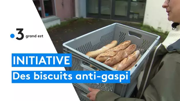 Des biscuits anti-gaspi fabriqués à partir de pain bio rassis